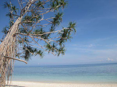 Manta Kingdom Derawan Islands