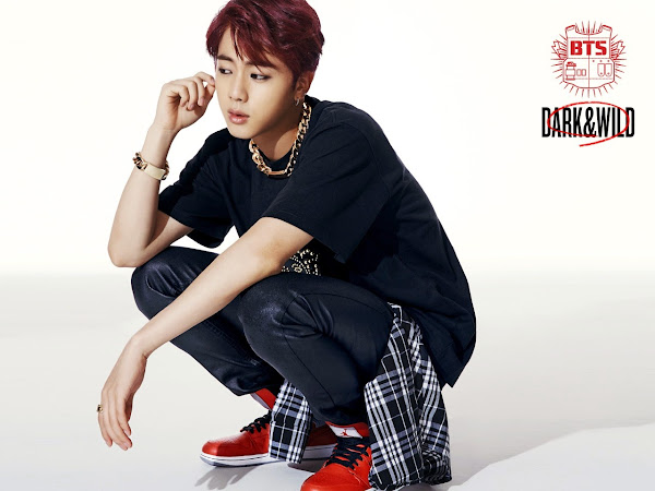 BTS Dark Wild Jin