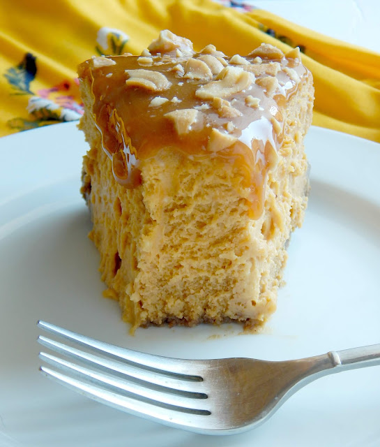 Caramel Cashew Pumpkin Cheesecake...mark this one #pumpkinspice lovers!  A perfect dessert for Thanksgiving.  Crispy gingerbread crust, a sweet creamy pumpking cheesecake filling, plus topped with drippy caramel and salty cashews. (sweetandsavoryfood.com)