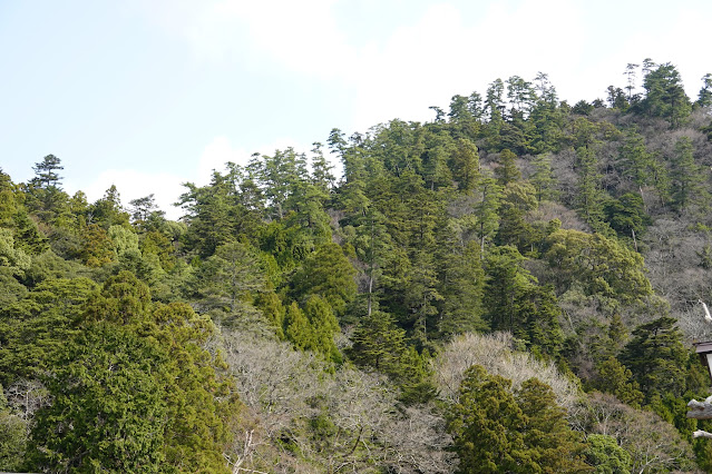 島根県出雲市大社町杵築東 出雲大社