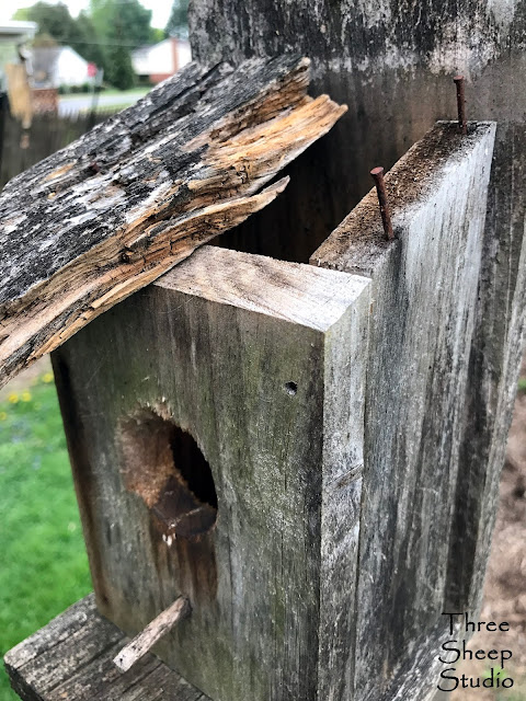 Old Birdhouse