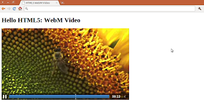 WebM in HTML5