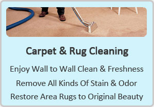 http://www.carpetcleaningdickinson-tx.com/carpet-cleaning/carpet-and-rug-cleaning.jpg