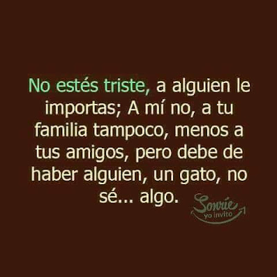 No estés triste, a alguien le importas, a mí no, a tu familia tampoco, menos a tus amigos, pero debe de haber alguien, no sé, un gato, algo