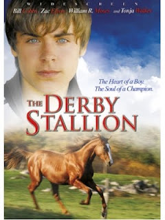 Derby stallion