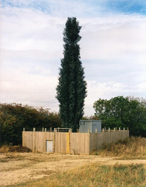 Mobile Phone Towers