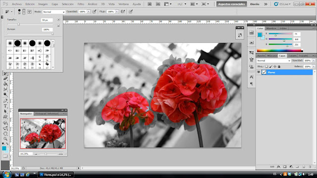 tutorial photoshop paso 8