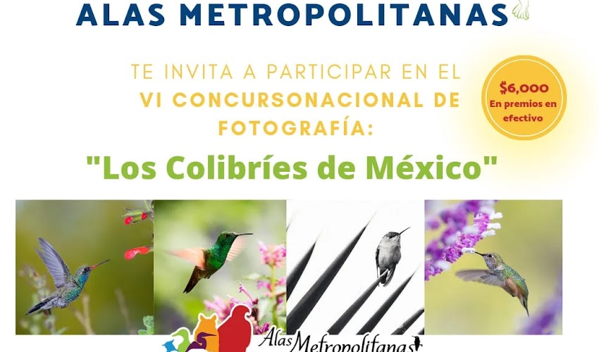 Concurso de Fotografía 2022