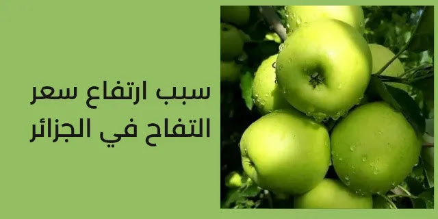 سبب ارتفاع سعر التفاح في الجزائر