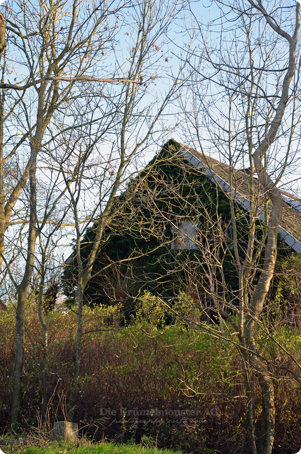 Spaziergang durch Wremen 241113 (10)