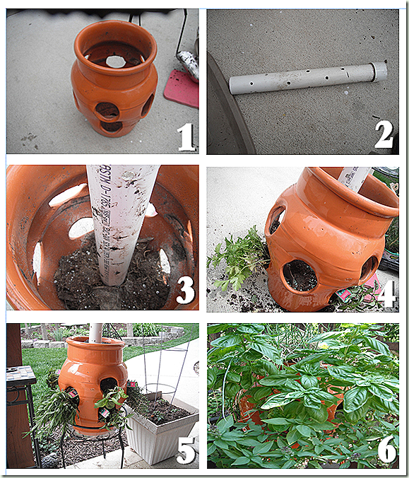 Herbs in a Strawberry Pot