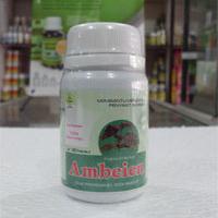  Obat  Herbal  untuk Menyembuhkan Penyakit Ambeien  Wasir 