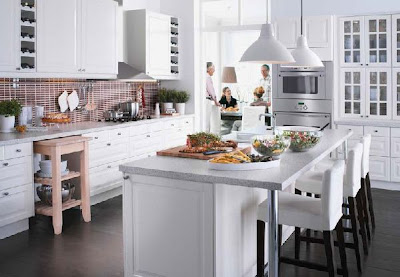 Kitchen Trends 2011 on House Designs  2012 Ikea Kitchen Furniture Trends And Ideas
