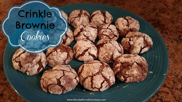 Crinkle Brownie Cookies