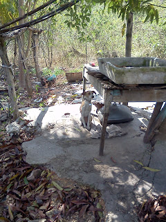 Rustic laundry facilities with dog.