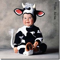 TA66CowCD11