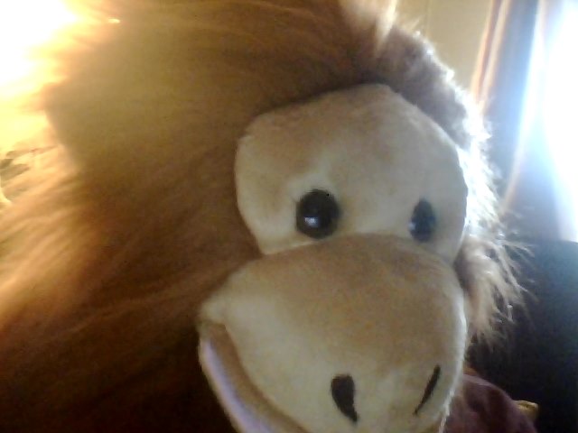 Meet My Puppets,Puppets,Orangutan,Apes,The Puppet Company,