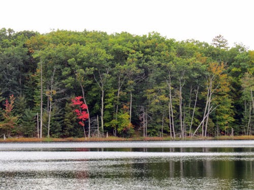 Pebawma Lake