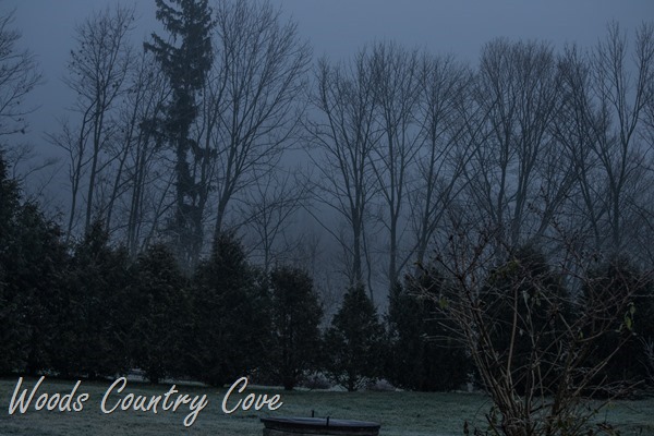 DECEMBER 2015 (1 of 26)