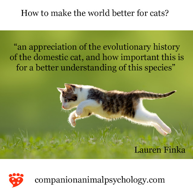 An appreciation of the evolutionary history of cats, like this one pouncing in a meadow, can help us make the world better for cats