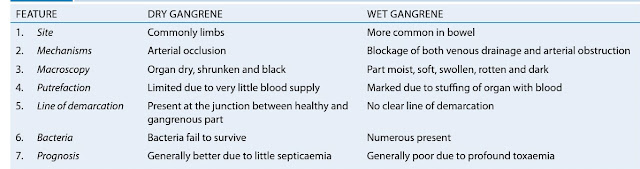 Dry gangrene, wet gangrene, gangrene, aasgaduli, pathology