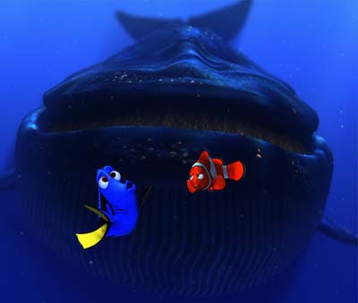 finding nemo dory. Dory, Marlin, and the whale