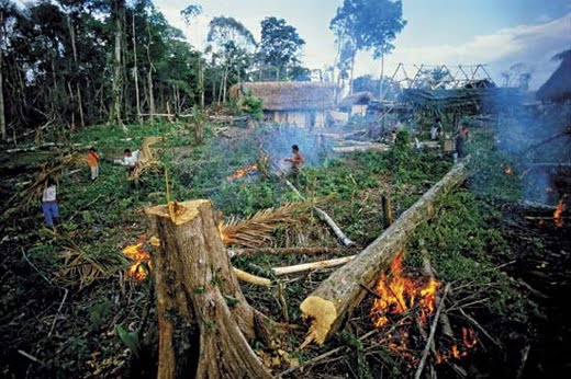 depletion and destruction of natural resources