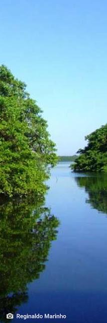 ecologia porto do capim rio ipojuca poesia juca pontes ambiente de leitura carlos romero natureza 