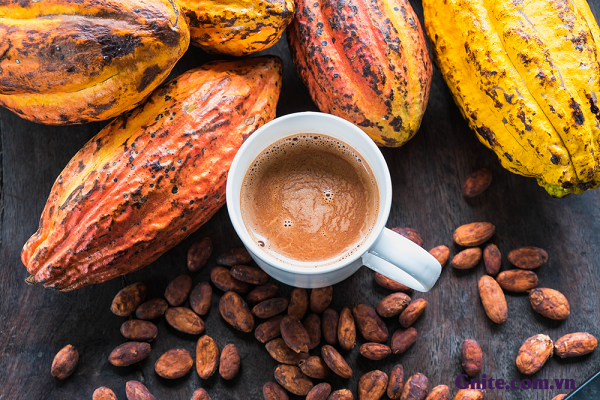 Cacao giúp người ăn ngủ ngon hơn