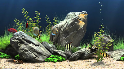 Free Virtual Fish Aquarium Download