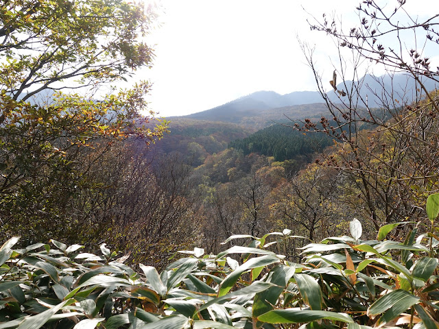大山の香取の山道からの眺望