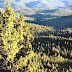 Oregon National Forest - Oregon National Forests