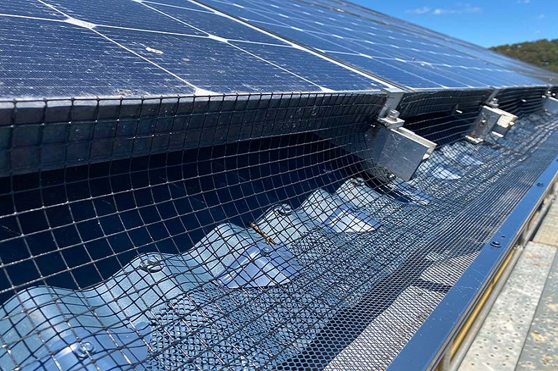 Solar Panel Bird Proofing