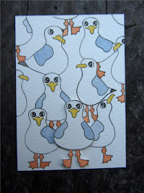 seagulls