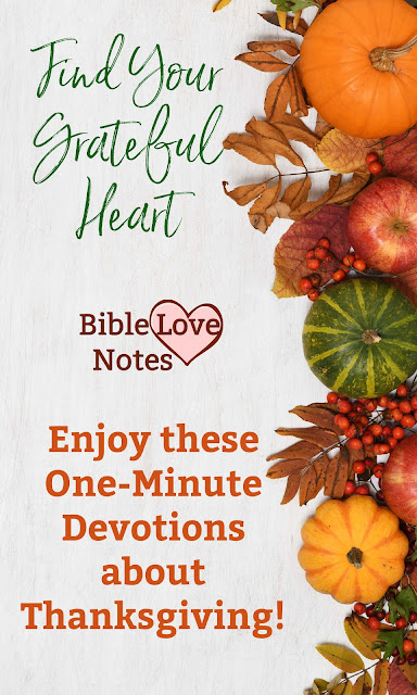 Enjoy these short 1-minute devotions that highlight different aspects of THANKSGIVING, both the attitude and the holiday.