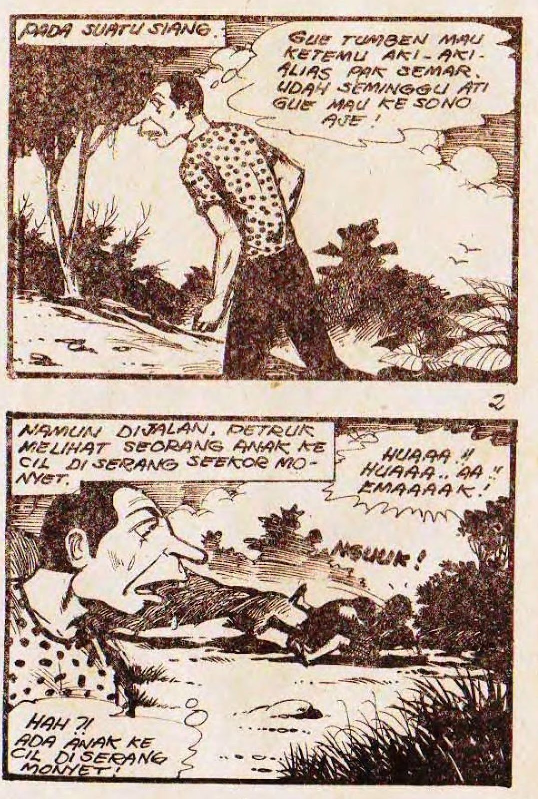 EMANG APES - Baca Komik Petruk Gareng Karya Tatang S 