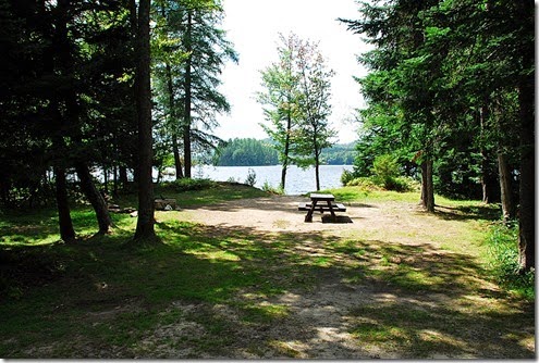 Brown Tract Pond_035