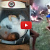  Sangat S4diiss..!! Video Wanita di Bak4r Masa Karena Bunuh 4nak Pakai Mesin Cuci 
