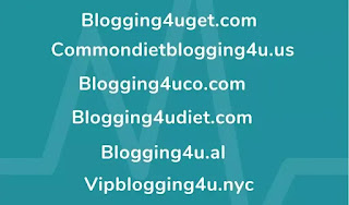 Blogging4u Domain Names 2021