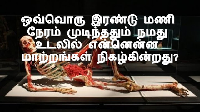 Ovvoru irandu mani neram mudindhathum namathu udalil ennenna nigazhkinrathu?, what happen to our body on every two hours, changes in oru body after every two hours. tamil health