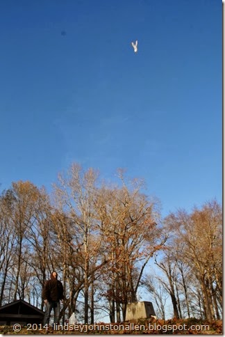 IMG_0486 (2) (533x800)