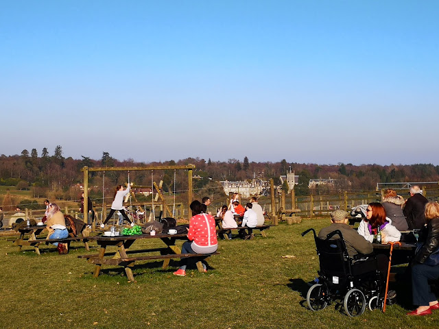 Play park at The Llama Park