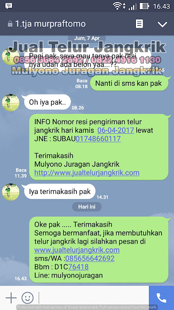 JUAL TELUR JANGKRIK testimoni PART3 dari pelanggan