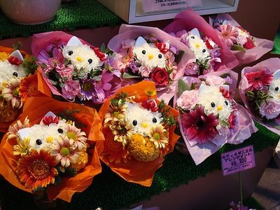 Cute Puppies And Flowers. BONUS: Cute tiny marmosets!