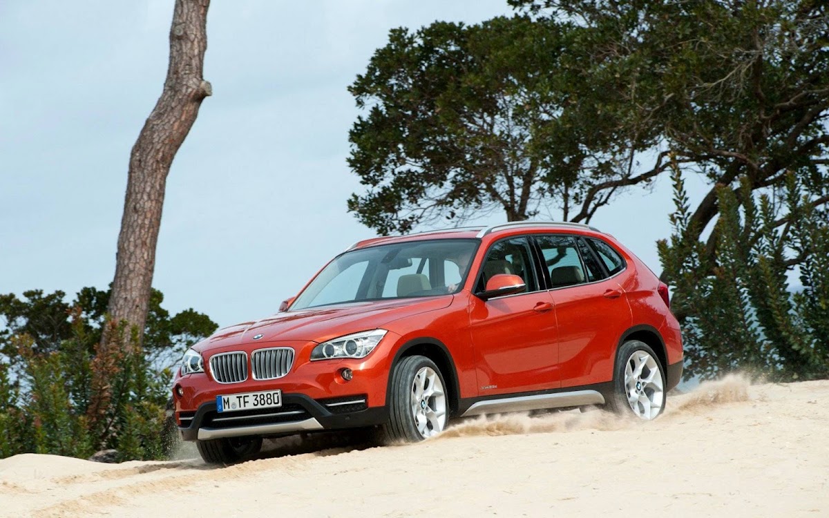 2013 BMW X1 Widescreen HD Wallpaper 5