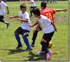 DSC_4630 (800x531)