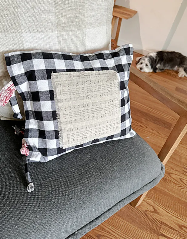 pillow cover on chair with dog