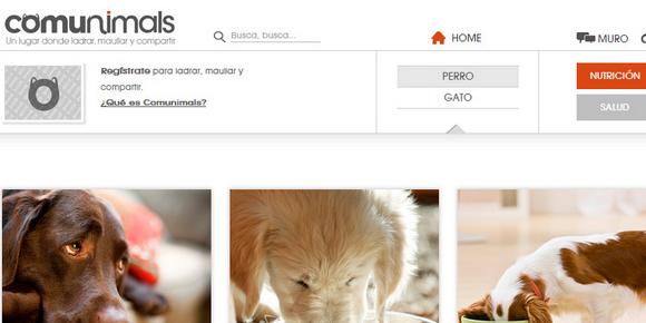 La verdad sobre perros y gatos, en la red