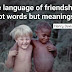 The language of friendship is not words but meanings.