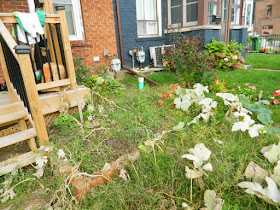 East York Toronto Front Garden Fall Cleanup Before by Paul Jung Gardening Services--a Toronto Organic Gardening Company